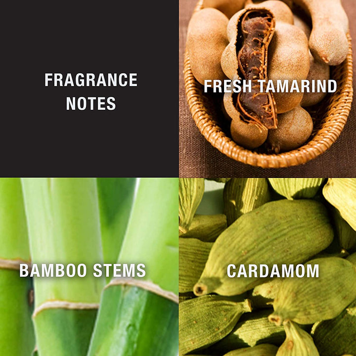 Lucky You Cologne Spray for Men, Day or Night Casual Scent with Bamboo Stem Fragrance Notes, 3.4 Fl Oz