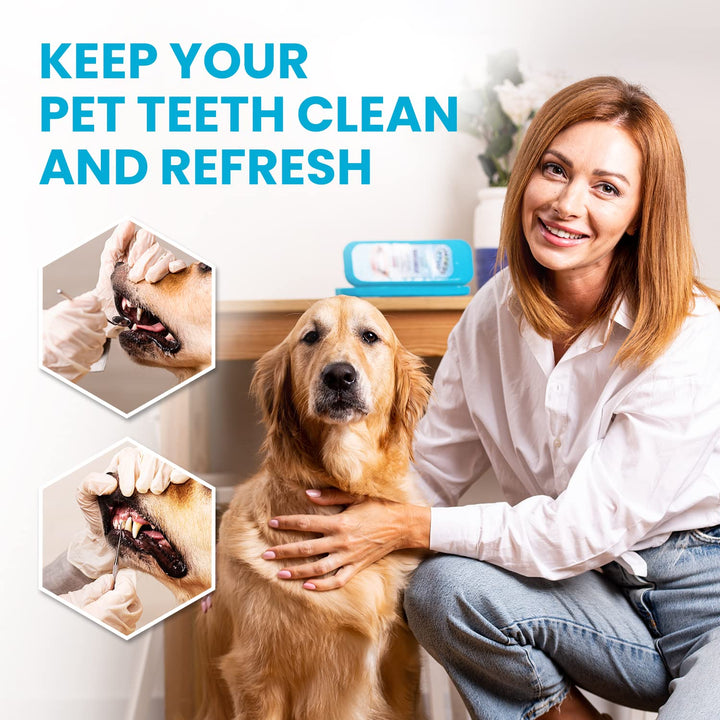 Dental Tools, Dental Pick for Teeth Cleaning Tools – Plaque Remover for Teeth with Teeth Cleaning Kit - Stainless Steel Dental Mirror for Teeth, Scraper and Scaler, (Aqua)