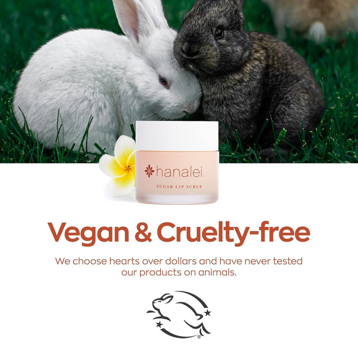 Vegan Sugar Lip Scrub Exfoliator - Hawaiian Cane Sugar, Kukui Oil & Shea Butter for Smooth, Hydrated Lips - Natural, Cruelty-Free Lip Care, Removes Dry Skin, Moisturizes & Softens (22G)