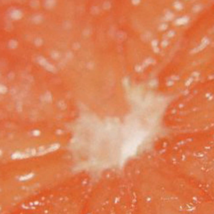 Women'S Perfume, Eau De Toilette EDT Spray, 3.4 Fl Oz