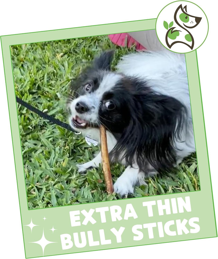 Extra Thin Bully Sticks for Small Dogs 5-6" (10 Count) - Long Lasting for Light Chewers and Puppies - Natural Beef Dog Chew Bones