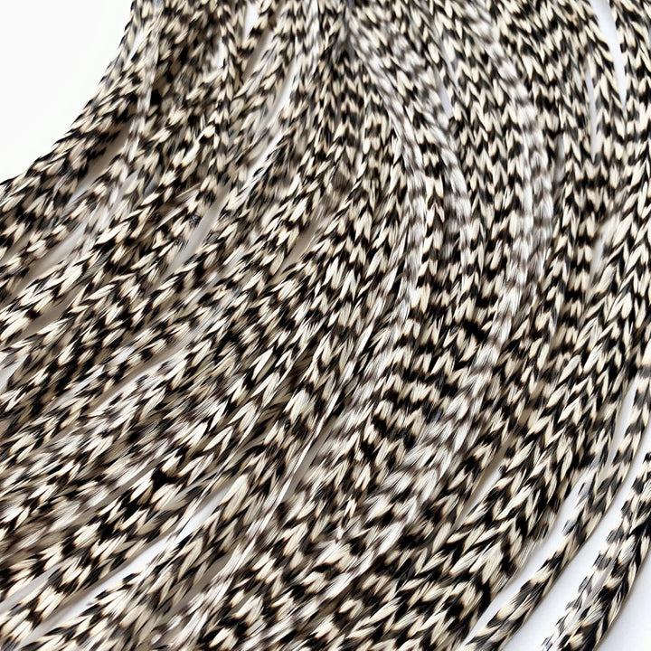 Hair Feathers Extensions Kit, Long Real Rooster Feathers for Hair, DIY Microlink Beads and Loop Tool, Hot Pink, Purple and Turquoise Blue