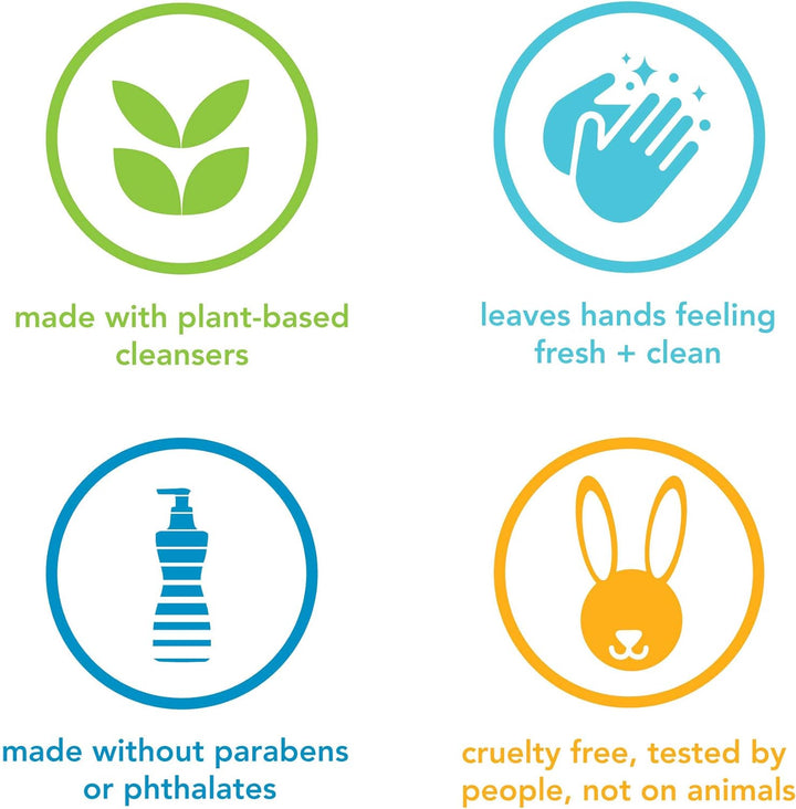 Foaming Hand Soap, Sea Minerals, Paraben and Phthalate Free, Biodegradable Formula, 10 Fl Oz (Pack of 3)