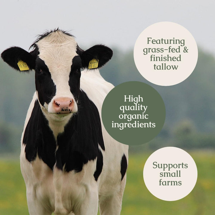 : Handmade Whipped Tallow Balm (Unscented/Herb-Infused) - Organic Body Butter with Infused Olive Oil, for Eczema, Rosacea, Baby - 1.3 Oz