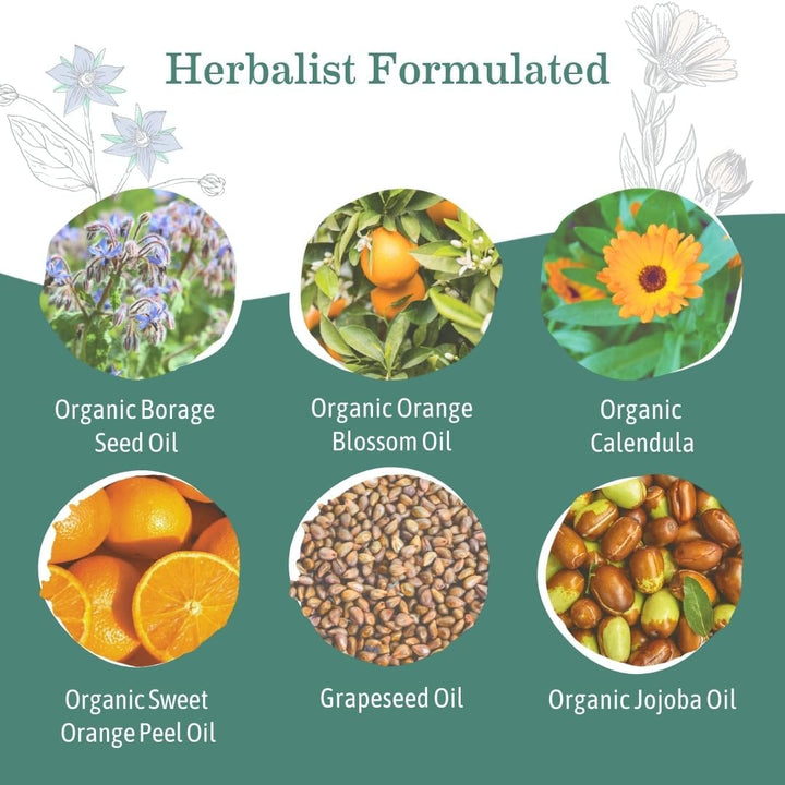 Belly Oil for Dry Skin | Calendula Skin Care Moisturizer Oil to Encourage Natural Elasticity and Help Prevent Stretch Marks during Pregnancy and Postpartum, 4-Fluid Ounce