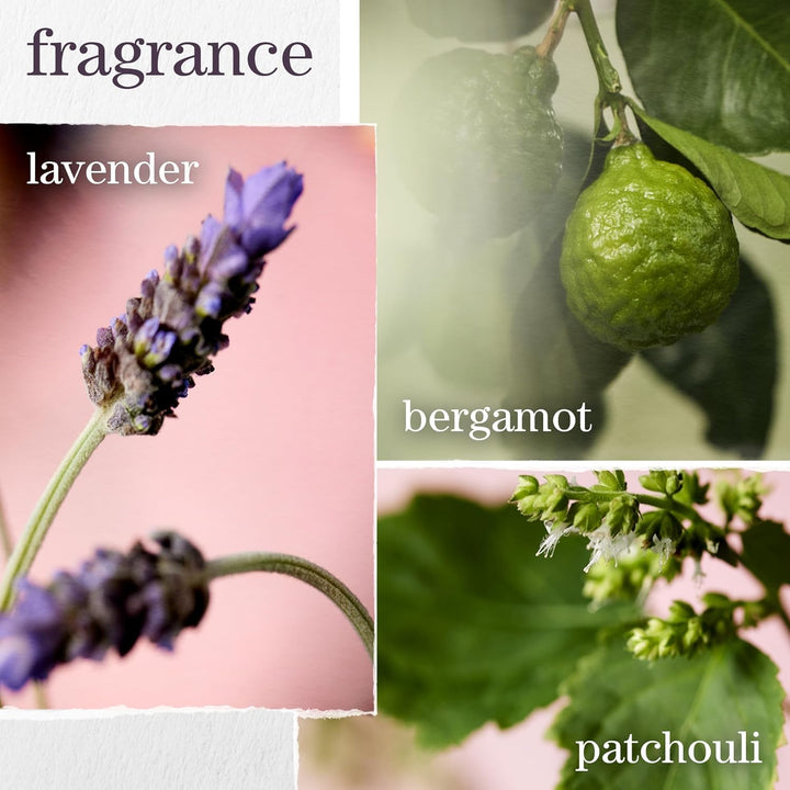 Hydrate Shampoo - for Dry or Color Treated Hair, Moisturizing Shampoo for Hydration & Softness, with Rose Extract & Green Tea, Vegan & Sulfate-Free