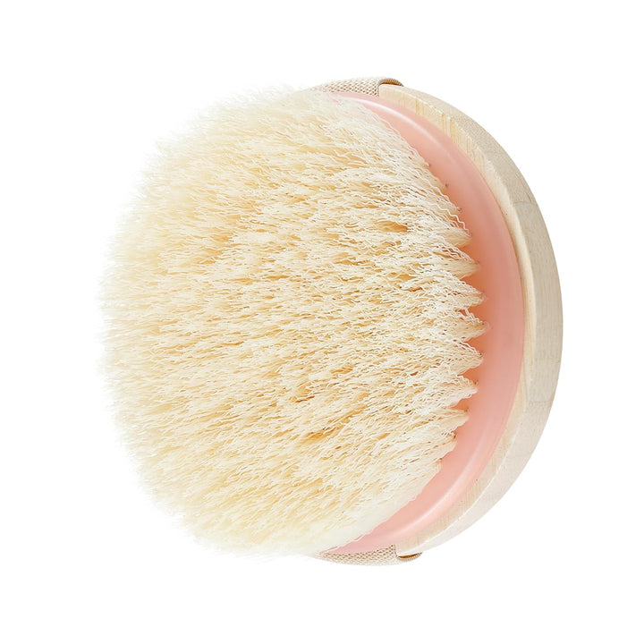 Dry Body Brush, Cruelty-Free Bristles Exfoliate & Smooth Skin, Dry Brushing Removes Flaky Skin, May Help Improve Circulation & Tone, Eco-Friendly Skincare Tool, Vegan & Cruelty-Free, 1 Count