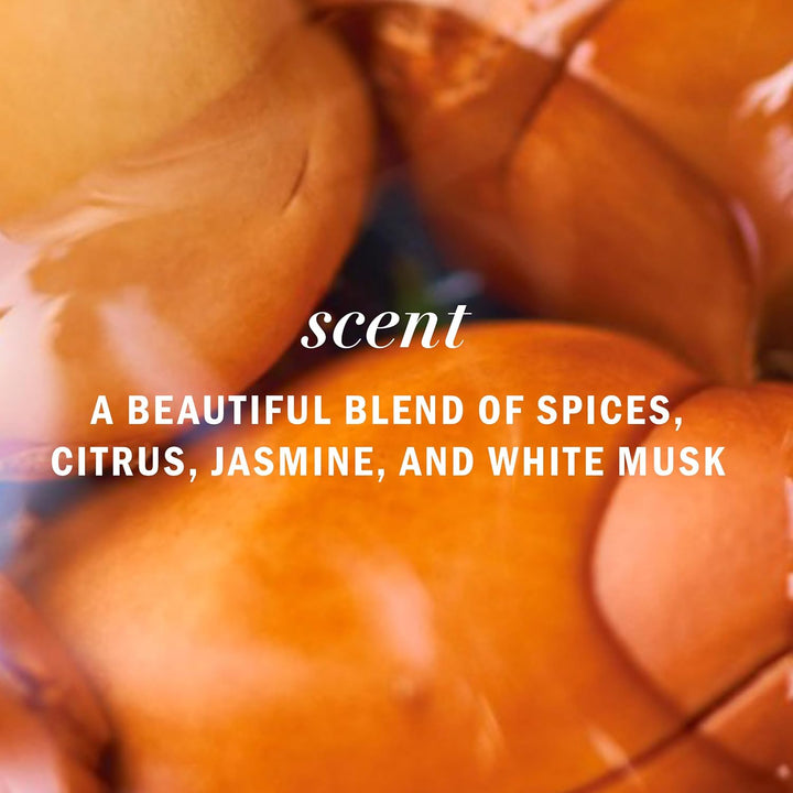 Argan Oil Repair Shampoo & Conditioner Set, Moisturizes & Smoothes, Paraben-Free, Color-Safe, Ph-Balanced, Citrus Scent, 20.2 Fl Oz, 2-Pack