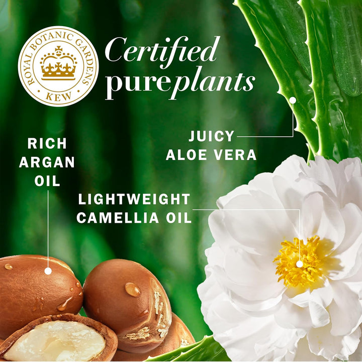 Argan Oil Repair Shampoo & Conditioner Set, Moisturizes & Smoothes, Paraben-Free, Color-Safe, Ph-Balanced, Citrus Scent, 20.2 Fl Oz, 2-Pack