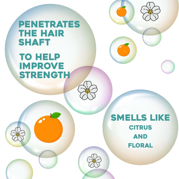 Renewing + Argan Oil of Morocco Weightless Healing Dry Oil Spray, Argan Oil for Hair Care, Lightweight Mist for Split Ends, Frizz Control & Shine, Paraben & Sulfated-Surfactants Free, 4 Fl Oz