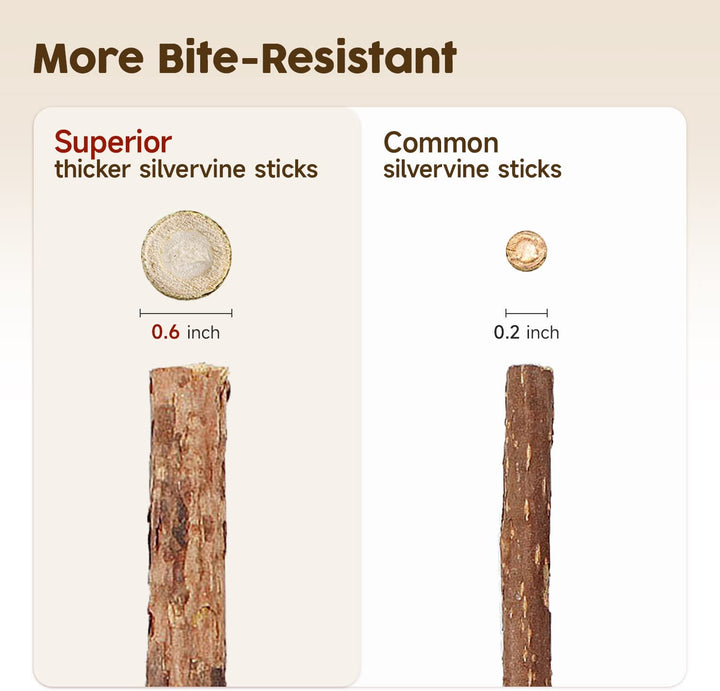 3 Pack Natural Silvervine Sticks Cat Toys, Catmint Silvervine Blend Sticks, Catnip Kittens Chew Toys Teeth Cleaning, Matatabi Dental Care Cat Treat Edible Kitty Lick Toys, Package May Vary