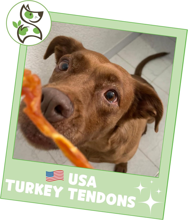 USA Turkey Tendons for Dogs (4Oz) - Delicious Grain Free Reward Snack for Small, Medium & Large Breeds - Premium Natural Dog Chew Treats