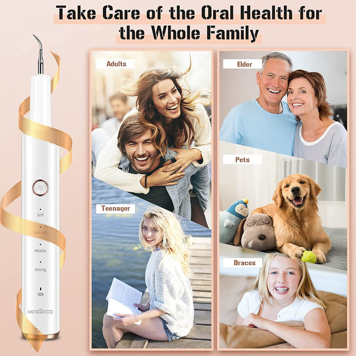 Plaque Remover for Teeth, Electric Tooth Cleaner Tartar Remover for Teeth with LED Light,4 Modes Rechargeable Teeth Cleaning Kit with Dental Tools, 2 Replaceable Heads (White A)