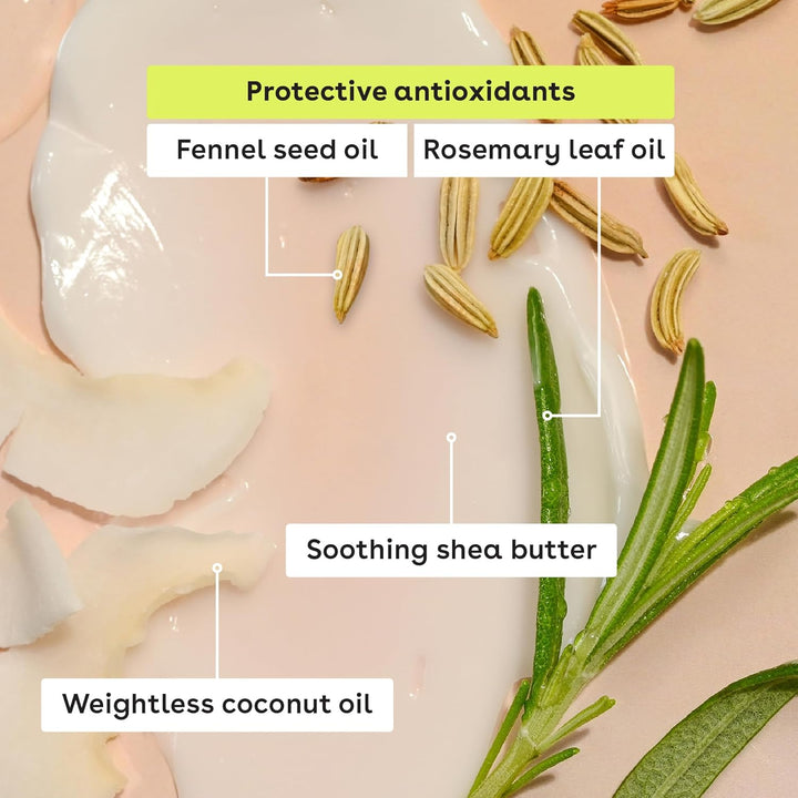 100% Natural & Organic Lip Balm Sticks - Vanilla Bean, All Natural Lip Balm, All-Day Moisture, Dermatologist Recommended, 0.14 Oz, 2-Pack