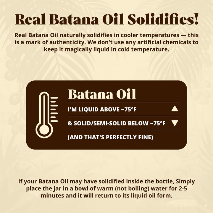 Batana Oil for Hair Growth – 100% Pure & Organic Botana Oil from Honduras – Strengthens, Thickens & Restores Natural Hair – Cold Pressed Raw Scalp & Hair Treatment for Men & Women – 60Ml