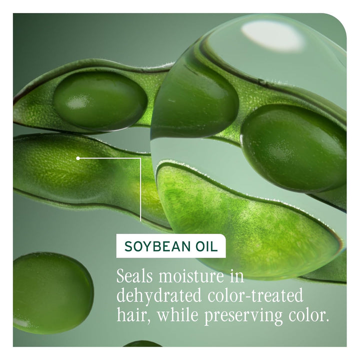 Biolage Color Last Shampoo - for Color-Treated Hair, Nourishes, Strengthens, Hydrates and Adds Shine, Soybean Oil & Stearic Acid, Paraben & Mineral Oil-Free, Vegan