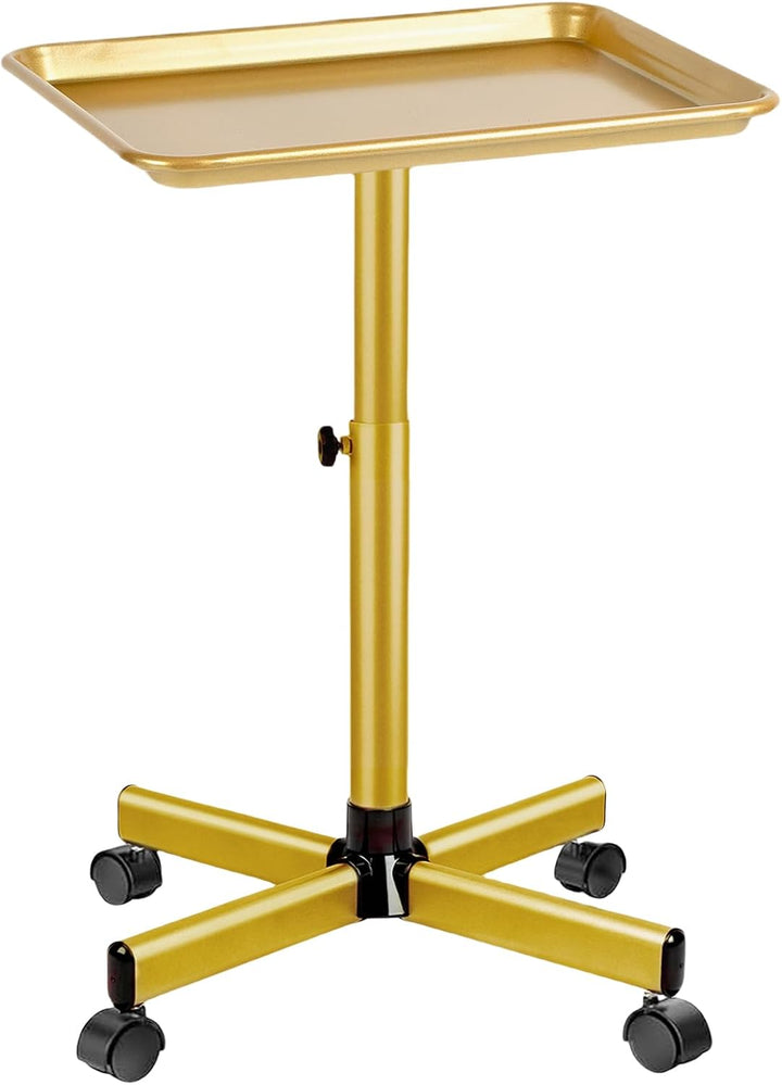 Salon Tray on Wheels, Salon Rolling Tray with Adjustable Height, Hair Stylist Tray, Suitable for Tattoo Tray and Dental Tray