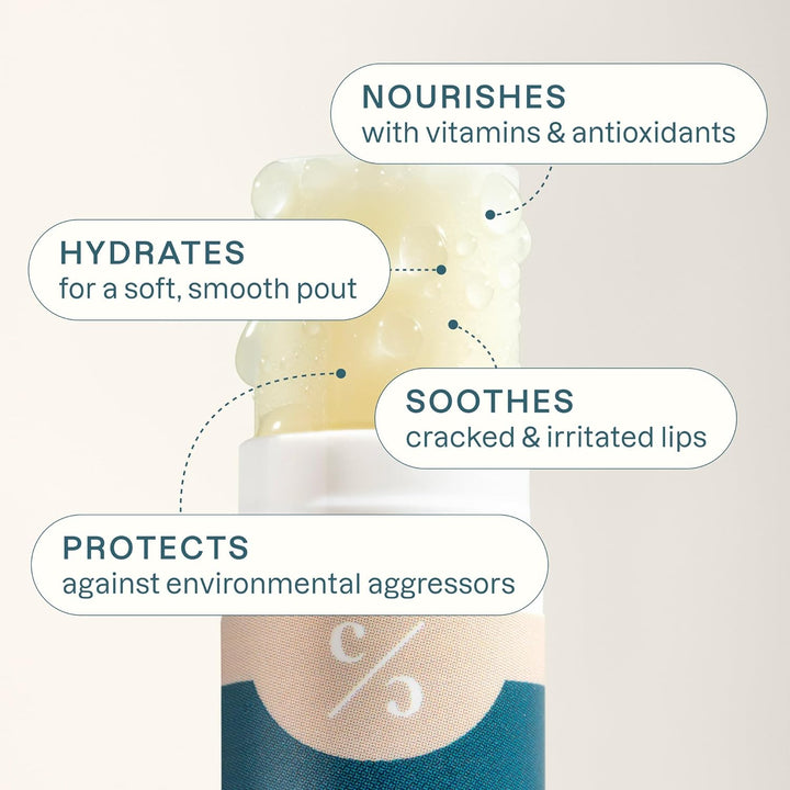 Organic Lip Balm Set (6 Flavors) - 100% Natural Hydrating, Moisturizing for Dry Cracked Lips, for Men & Women