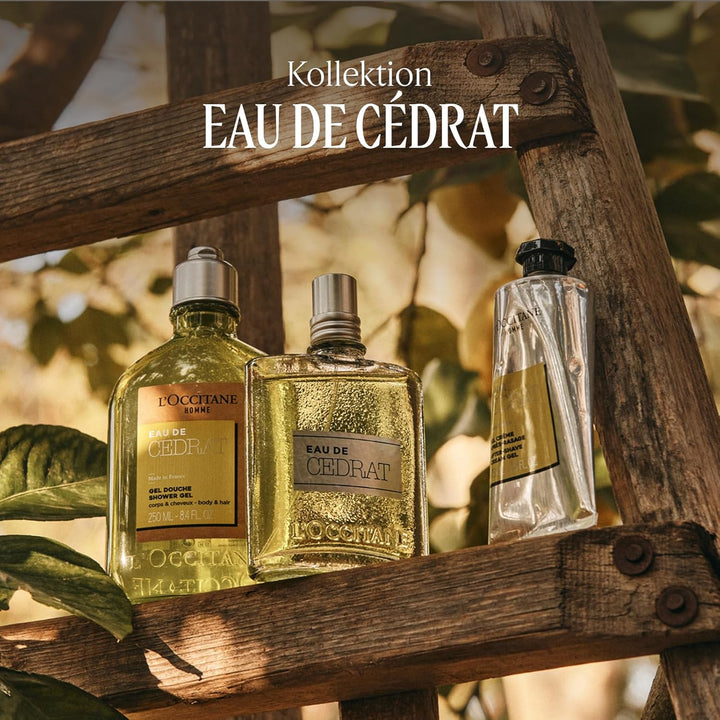 L'OCCITANE Eau De Cédrat After-Shave Cream Gel 2.50 Fl. Oz
