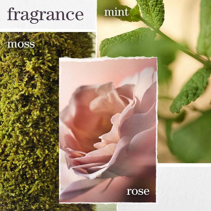 Hydrate Conditioner - for Dry or Color Treated Hair, Nourishing Conditioner to Restore Moisture and Seal in Hydration, Vegan