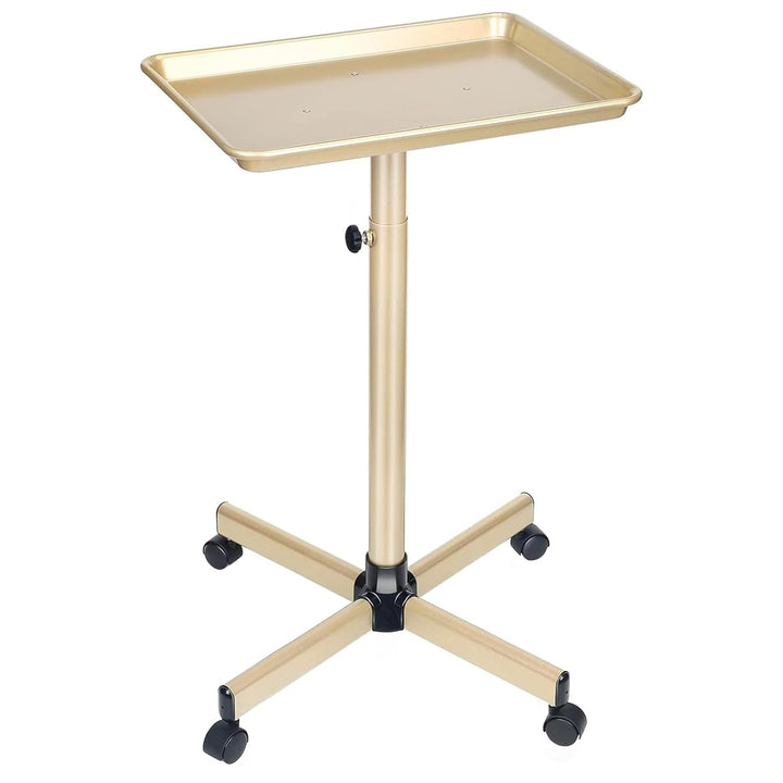 Salon Tray on Wheels, Metal Feet Salon Tray Cart, Salon Rolling Tray with Adjustable Height, Dentist Tray, Tattoo Tray for Salon and SPA Use