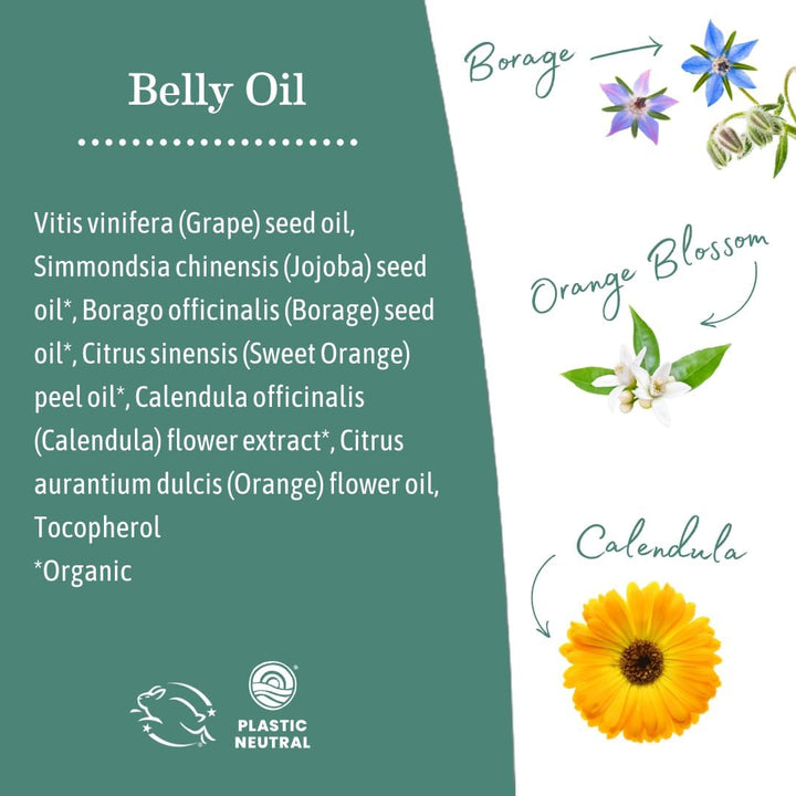 Belly Oil for Dry Skin | Calendula Skin Care Moisturizer Oil to Encourage Natural Elasticity and Help Prevent Stretch Marks during Pregnancy and Postpartum, 4-Fluid Ounce