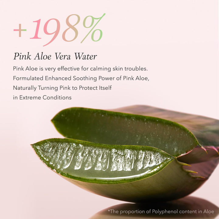 Pink Aloe Facial Polish Cleanser | Gentle Exfoliation with Mungbean & Soybean Scrub | Removes Waterproof Makeup & Sunscreen | Non-Comedogenic Cleanser for All Skin Types | Korean Skincare