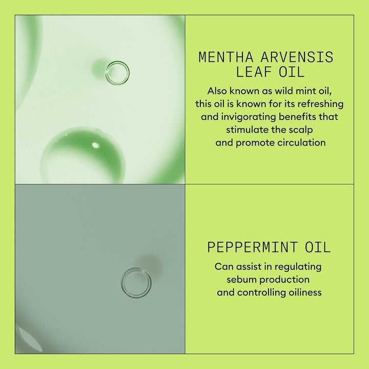 System 2 Scalp + Hair Thickening Conditioner for Natural Hair with Progressed Thinning | Boost Hair Density with Niacinamide & Biotin | Refreshed Scalp with Healthy Shine