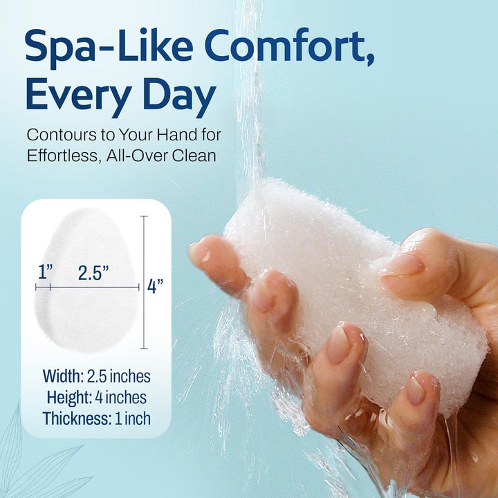 [10 Pack] Regular Exfoliating Facial Sponge for Face - Daily Cleansing Face Scrubber - Buf Dirt Away with Puf Styled Reusable Face Pads for Removing Makeup, Dirt, and Dead Skin - Made in USA