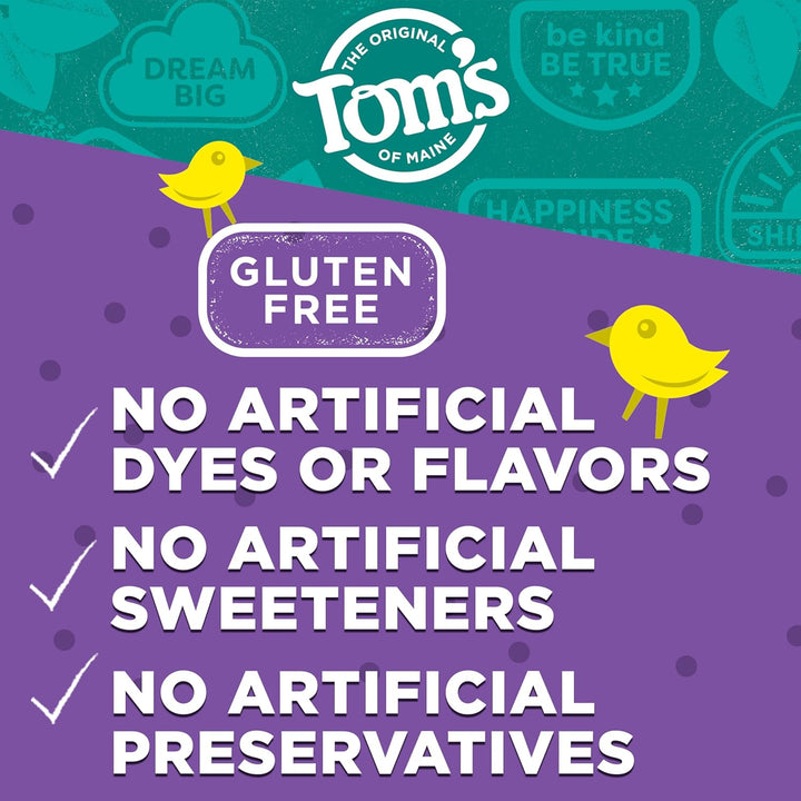 Fluoride-Free Toddler Training Toothpaste, Mild Fruit, 1.75 Oz. 3-Pack (Packaging May Vary)