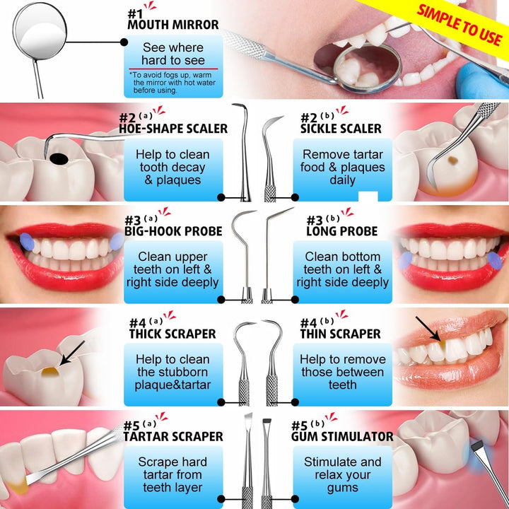 10 Pack Dental Tools, Professional Plaque Remover for Teeth Cleaning Tools Set, Stainless Steel Hygiene Kit with Dental Pick Tooth Scraper Plaque Tartar Remover Tongue Cleaner - with Case