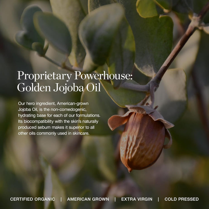 Complexion Perfecting Liquid Foundation - Lightweight Tinted Moisturizer for Face (Linden 1.25N - Light Beige, Neutral Undertone) - with Vitamin C & Jojoba Oil - Certified Organic & Made in USA