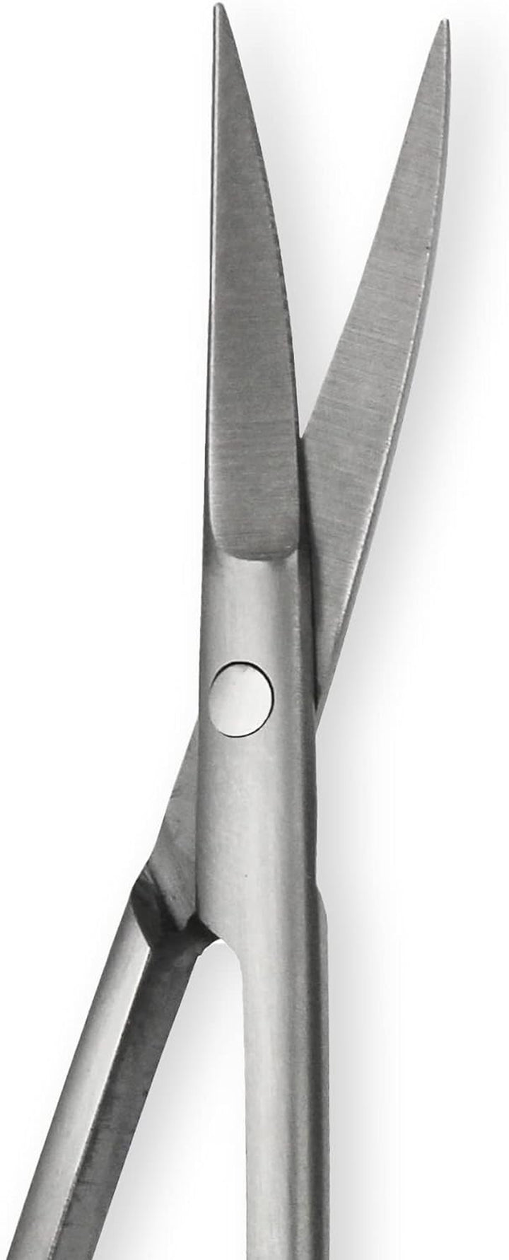 Beauty Scissors, Stainless Steel, Silver
