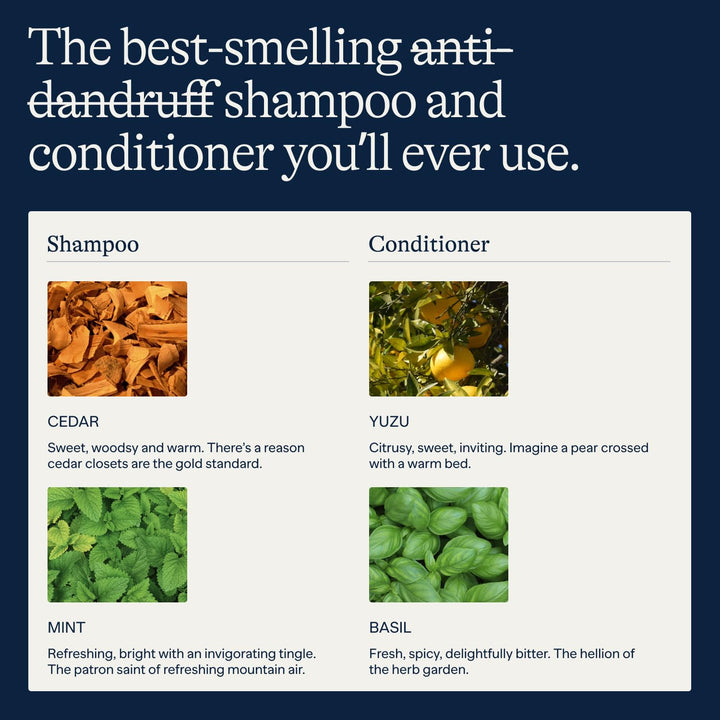 anti Dandruff Shampoo and Conditioner Set | Dry, Flaky, & Itchy Scalp Shampoo | Sulfate & Paraben Free for Healthy Hair | Hydrating Shampoo & Moisturizing Conditioner for Scalp Care | 9 Fl Oz