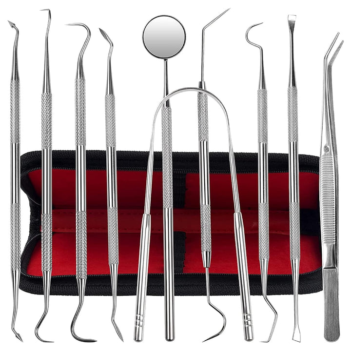Dental Kit Tools, 10 Pack Stainless Steel Plaque Remover, Dental Tools to Remove Plaque and Tartar, Oral Care Kit with Plaque Cleaner, Tartar Pick, Tooth & Tongue Scraper for Dentist, Personal, Family
