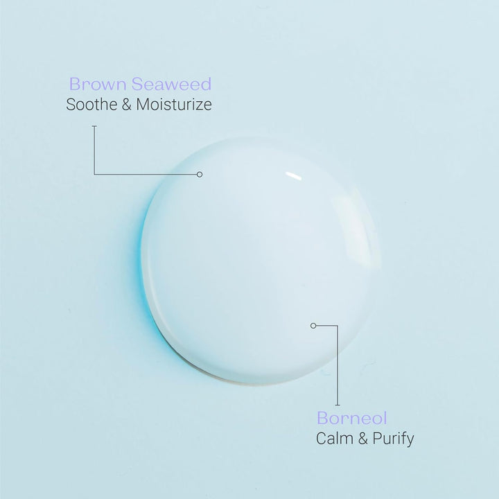 Lait Nettoyant Facial Cleanser, Gentle Milk Cleanser & Makeup Remover, Daily Plant Based Wash, Moisturize and Balance Skins Ph, All Skin Types, Paraben-Free