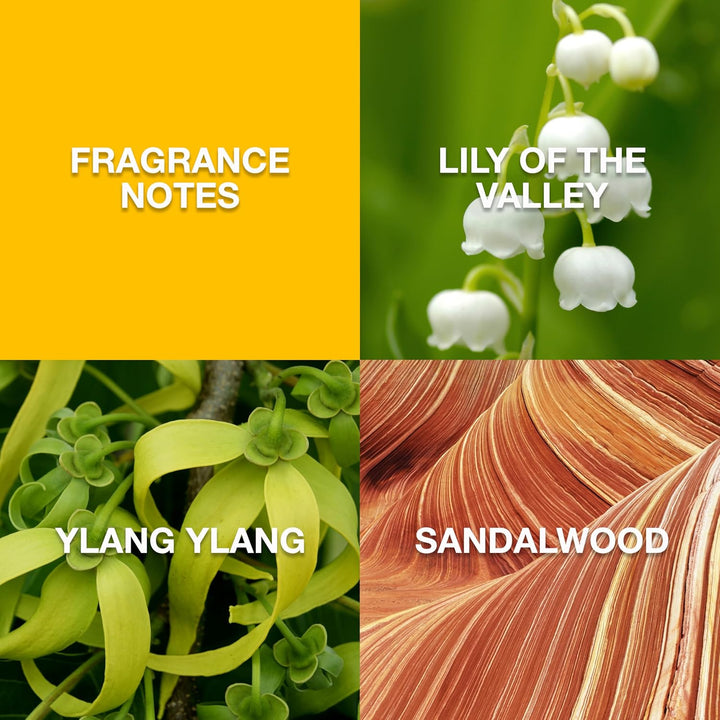 Eau De Toilette Spray for Women, 3.4 Fl Oz