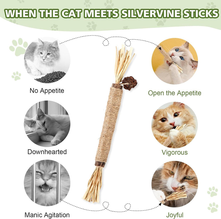 6 Pack Silvervine Sticks Cat Toy, Natural Chew Stick for Dental Care Teeth Cleaning,Matatabi Cat Nip Treat Toys for Indoor Cats& Kittens
