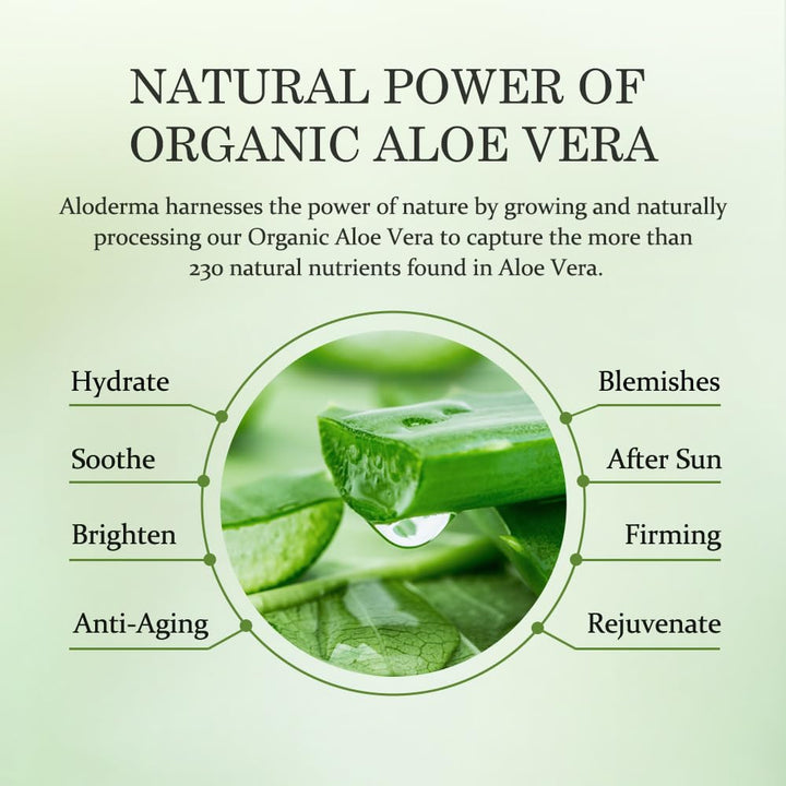 99% Organic Aloe Vera Gel Made within 12 Hours of Harvest - Lightweight, Non-Sticky Aloe Gel for Face Body, Hair, & Scalp, after Sun Relief, Natural, Soothing Hydrating Aloe Gel, 10.6Oz