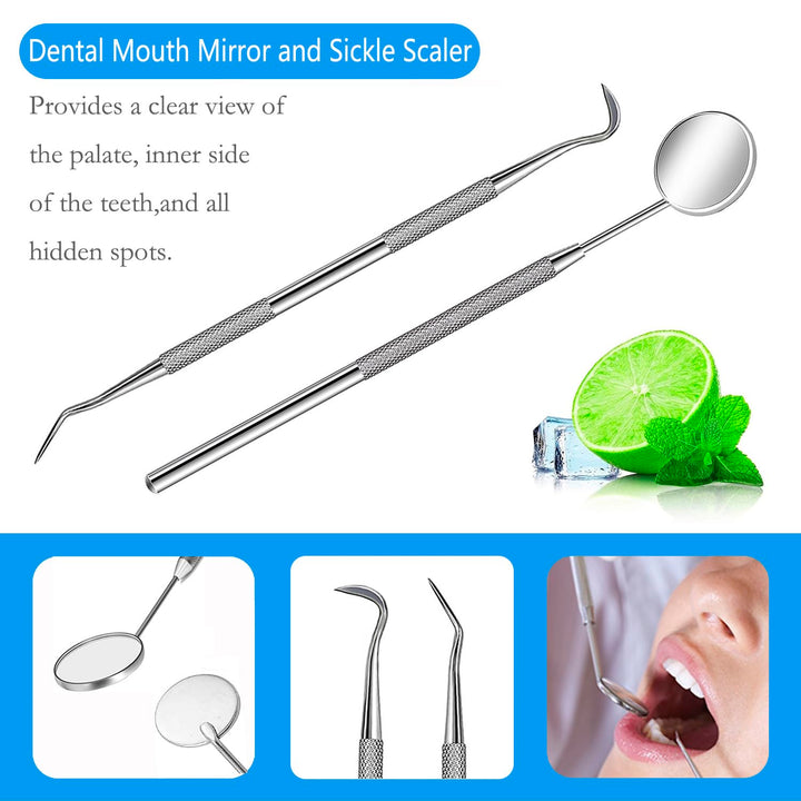 Dental Tools, Professional Plaque Remover Teeth Cleaning Tool Kit, Stainless Steel Dental Pick Tartar Scraper Tooth Cleaner, Oral Care Hygiene Set for Dentist Personal Pets with Storage Box