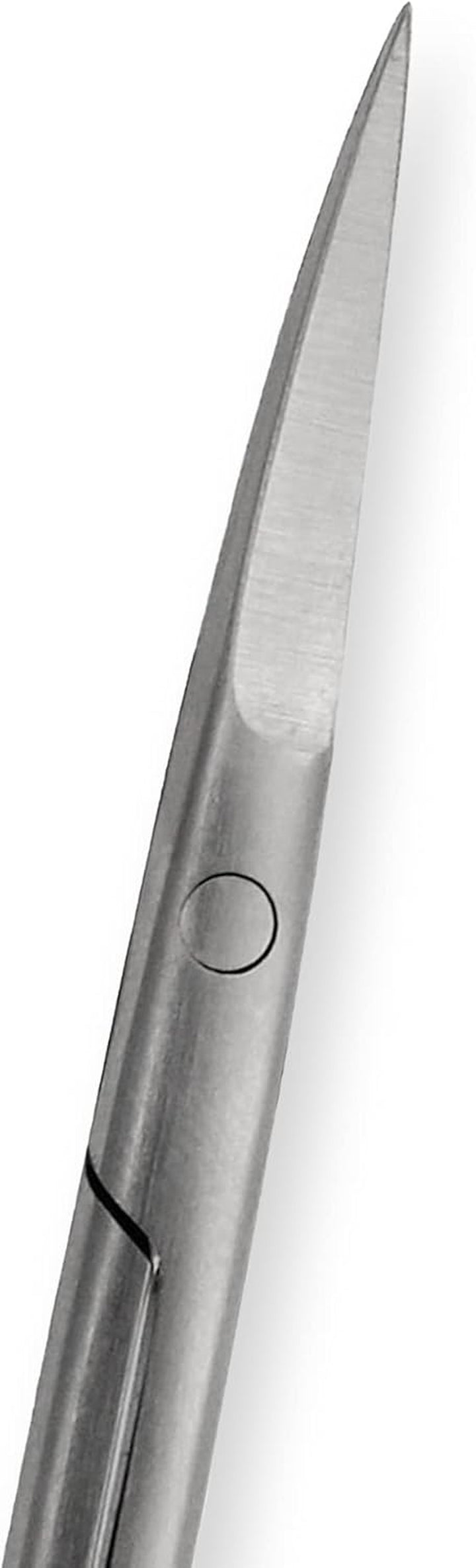 Beauty Scissors, Stainless Steel, Silver