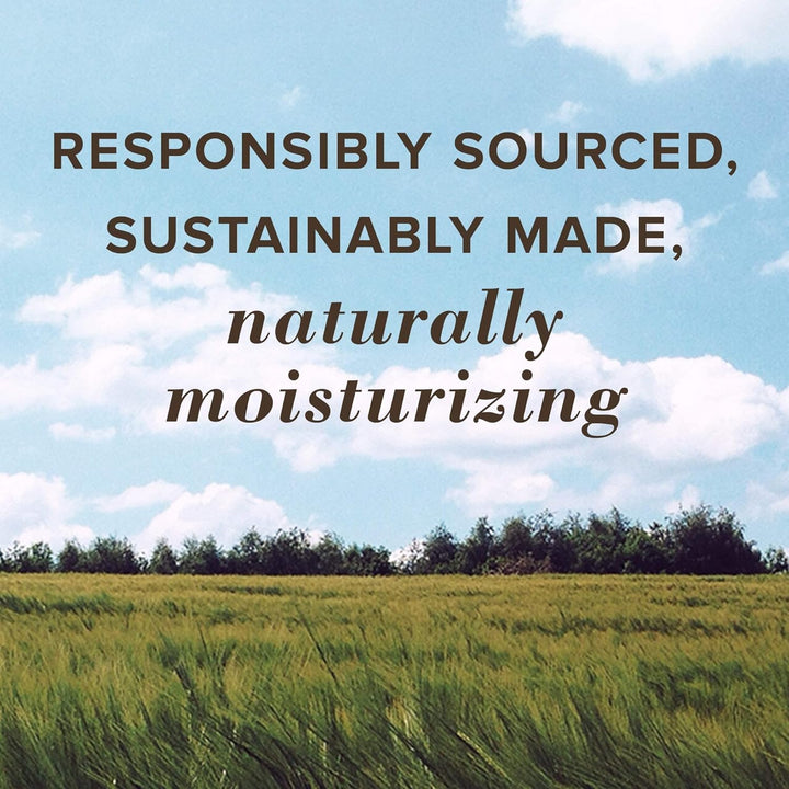 All Weather SPF 15 Lip Balm, Water-Resistant Lip Moisturizer, Tint-Free, Natural Conditioning Treatment, 2 Tubes, 0.15 Oz.