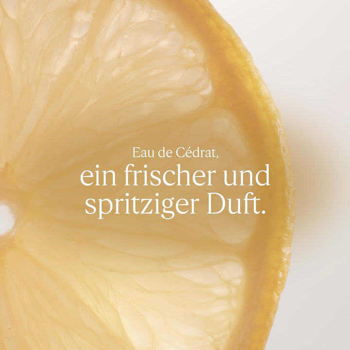 L'OCCITANE Eau De Cédrat After-Shave Cream Gel 2.50 Fl. Oz