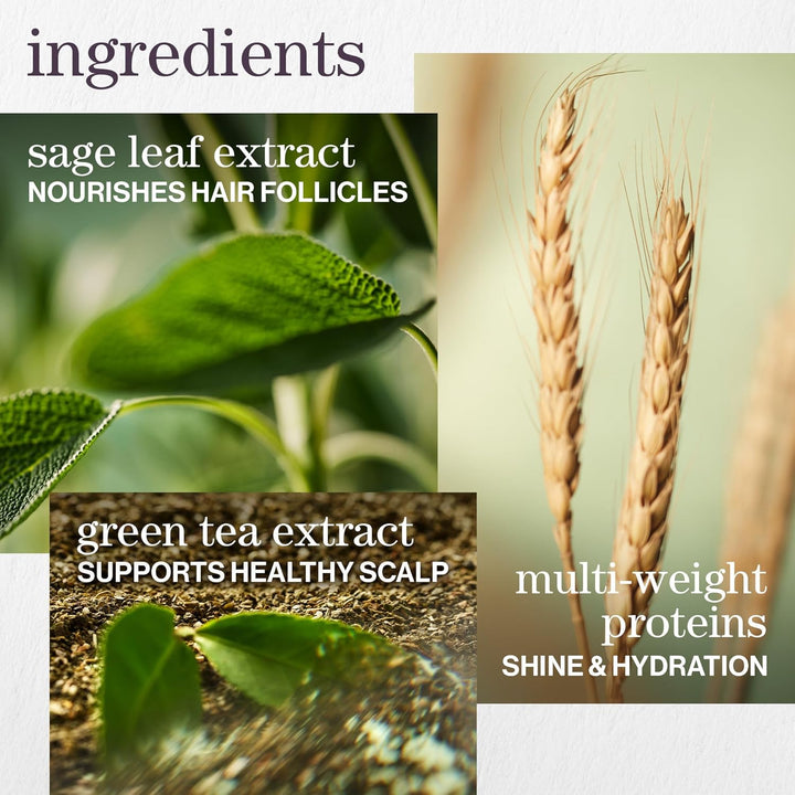 Hydrate Conditioner - for Dry or Color Treated Hair, Nourishing Conditioner to Restore Moisture and Seal in Hydration, Vegan