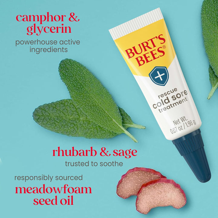 Stocking Stuffers, Cold Sore Treatment and Medicated Lip Balm, with Menthol and Eucalyptus Oil, Natural Origin Skincare, 2 Tubes, 0.07 Oz./0.15 Oz.