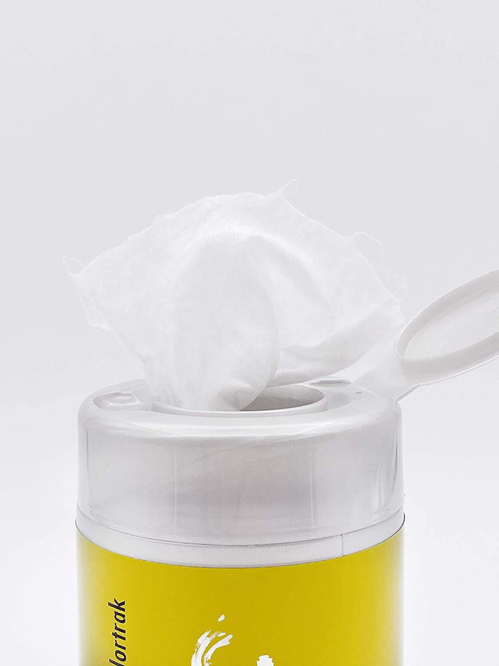 Gentle Hair Color Remover Wipes, Moist, Non-Irritating Towelettes, Formulated with Aloe, Easily Remove Hair Color Stains from Skin, Convenient Canister, 100 Wipes