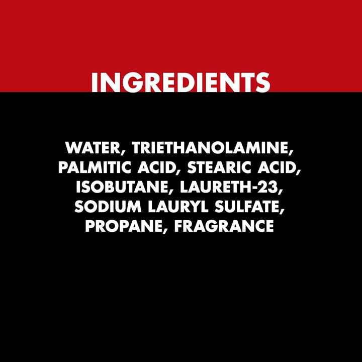 Foamy Classic Shave Foam for Men, Protection against Shaving Irritation, Quick and Smooth Shave, Shaving Cream, 14.9 Oz