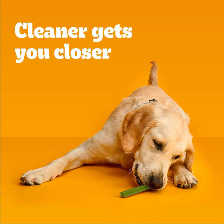 Dentastix Large Breed Dog Treats, Fresh Flavor, 1.46 Lb. Bag (28 Treats)