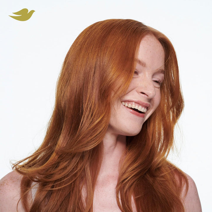 Dry Shampoo Spray, Volume & Fullness, Absorbs Oil to Refresh Hair without Washing, 5 Oz (2-Pack)