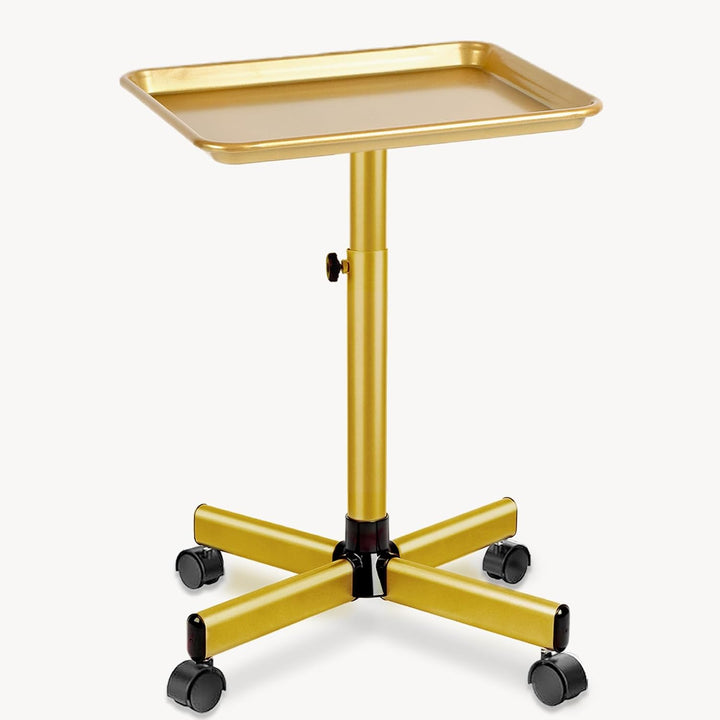 Salon Tray Cart,Instrument Tattoo Trolley Tray with Wheels Adjustable Height,Height Adjustble Hair Color Storage Tray Cart